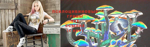 спиды Нефтекумск
