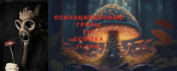 спиды Нефтекумск