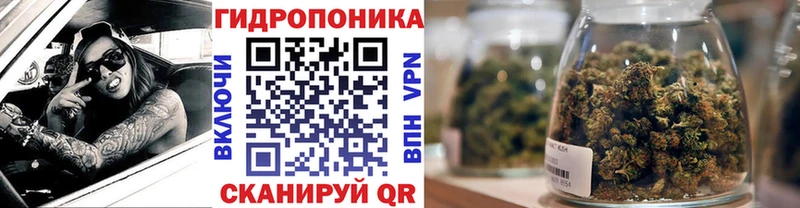 Бошки марихуана индика KRAKEN рабочий сайт Берёзовка